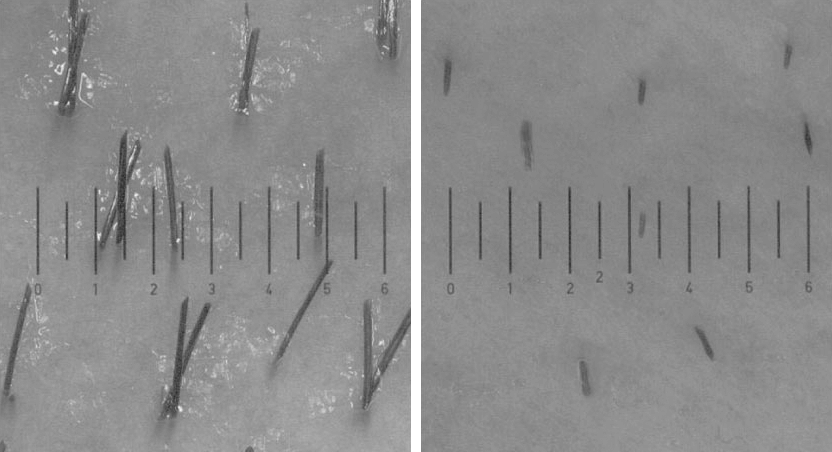 Laser On Tour - laserontour.com